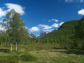 2008_06_14_Hellesylt_A_Geiranger_049_N_50__CNX-D