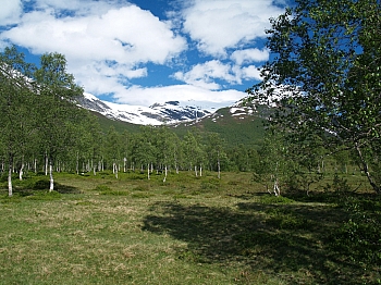 2008_06_14_Hellesylt_A_Geiranger_056_N_50__CNX-D