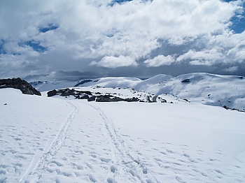 2008_06_14_Hellesylt_A_Geiranger_233_N_50__CNX-D