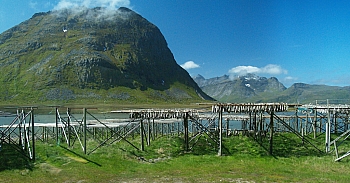 2008_06_16_B_Gravdal_(Iles_Lofoten)_194_N_O_RRRR_50__CNX-D