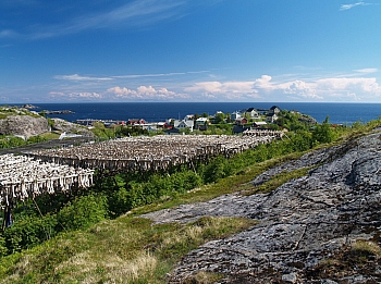 2008_06_16_B_Gravdal_(Iles_Lofoten)_444_N_O_50__CNX-D