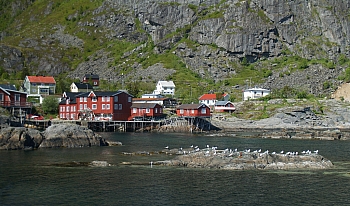 2008_06_16_B_Gravdal_(Iles_Lofoten)_468_N_R_70__CNX-D