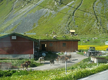 2008_06_16_B_Gravdal_(Iles_Lofoten)_632_N_O_70__CNX-D