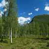 De Hellesylt � Geiranger 16