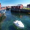 Iles Lofoten 72