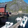 Iles Lofoten 73