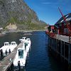 Iles Lofoten 74