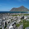 Iles Lofoten 81