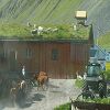 Iles Lofoten 87