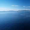 Trondheim 4